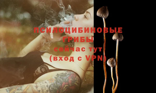 прущая мука Арсеньев