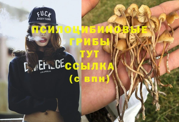прущая мука Арсеньев