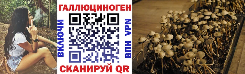где купить наркоту  Камбарка  Галлюциногенные грибы Magic Shrooms 